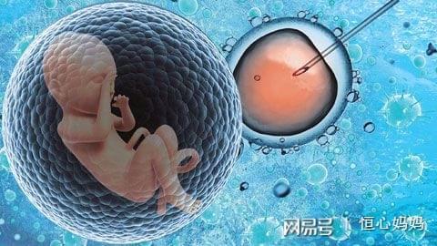 冷冻储存